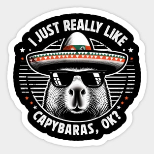 I Just Really Like Capybaras, ok? Sticker